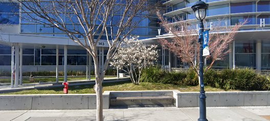Valley Health Center - Milpitas