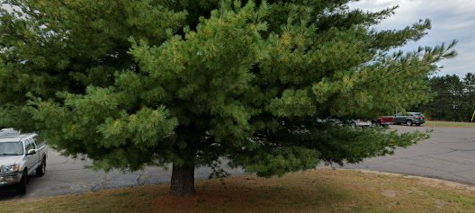 Northlakes Community Clinic -Minong