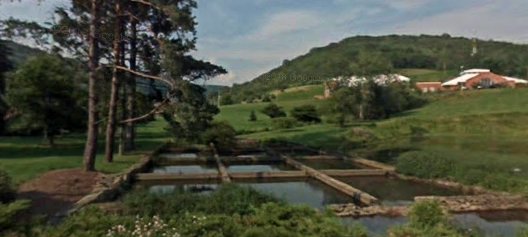 Pediatrics UPMC Cole - Coudersport