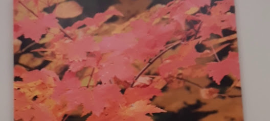 Family Health Center - Woodland Clinic