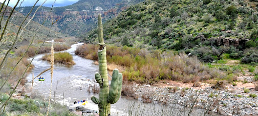 Durango Oral Health Clinic