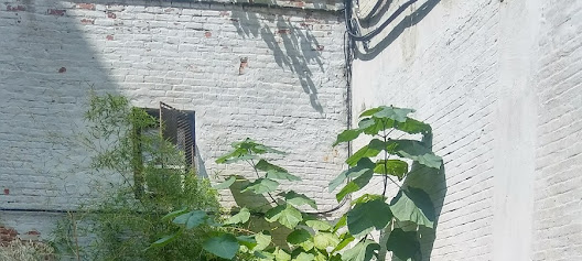 Keith D. Cylar Community Health Center - Housing Works