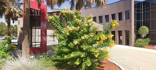 Bishop Ernest T. Dixon Jr. Clinic