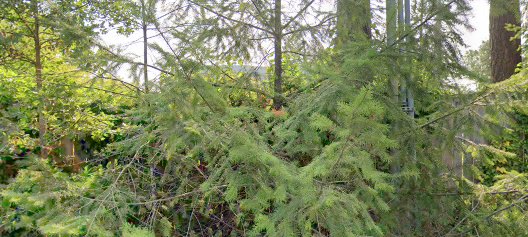 Lakewood Dental Clinic