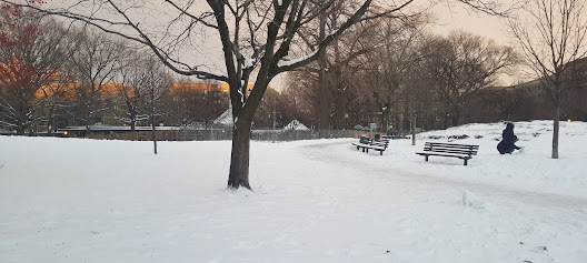 Columbia University Dental Clinic - Bard Haven Towers