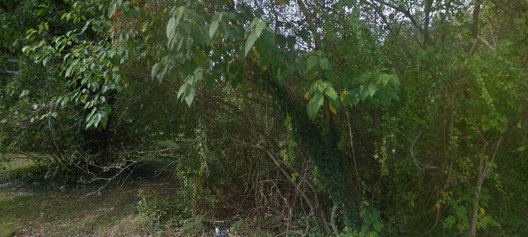 Choptank Community Health System - Denton Medical & Dental Center