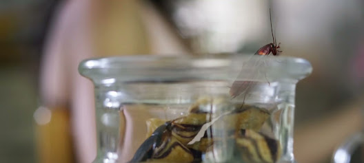 South County Health Center - Gardner Health Services