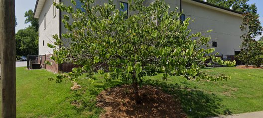 Roberta O. Watts Medical Center (QOLHS)