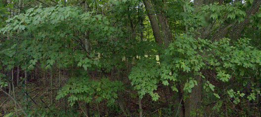 Dental Clinics North - Petoskey Clinic/Harbor Springs